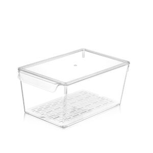 ORGANIZADOR DE NEVERA CON COLADOR Y TAPA 8.9 LT